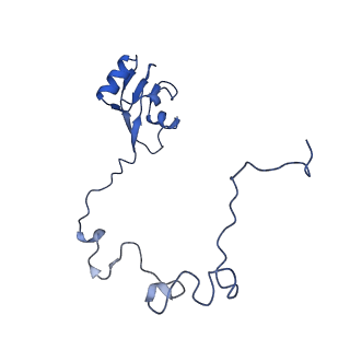 10073_6s0k_M_v1-2
Ribosome nascent chain in complex with SecA