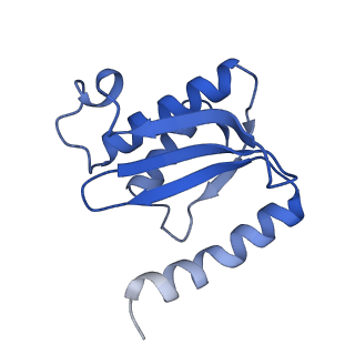 10073_6s0k_P_v1-2
Ribosome nascent chain in complex with SecA