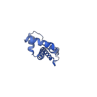 10073_6s0k_R_v1-2
Ribosome nascent chain in complex with SecA