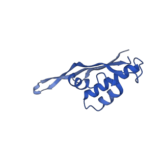10073_6s0k_T_v1-2
Ribosome nascent chain in complex with SecA