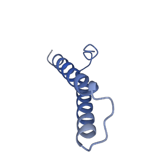 10073_6s0k_Z_v1-2
Ribosome nascent chain in complex with SecA
