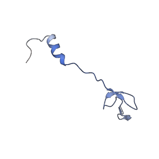 10073_6s0k_b_v1-2
Ribosome nascent chain in complex with SecA