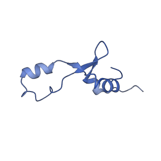 10073_6s0k_e_v1-2
Ribosome nascent chain in complex with SecA