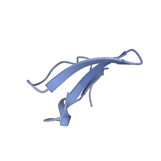 10073_6s0k_f_v1-2
Ribosome nascent chain in complex with SecA