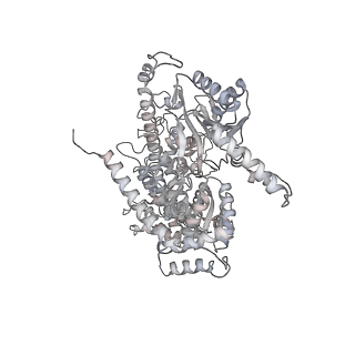 10073_6s0k_h_v1-2
Ribosome nascent chain in complex with SecA
