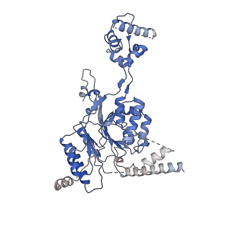 24785_7s06_A_v1-3
Cryo-EM structure of human GlcNAc-1-phosphotransferase A2B2 subcomplex