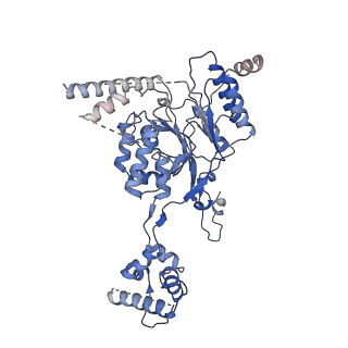 24785_7s06_B_v1-3
Cryo-EM structure of human GlcNAc-1-phosphotransferase A2B2 subcomplex