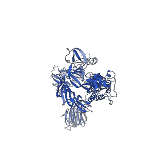 24786_7s0c_A_v1-1
Structure of the SARS-CoV-2 S 6P trimer in complex with neutralizing antibody N-612-017