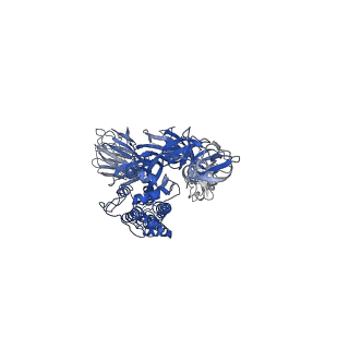 24786_7s0c_B_v1-1
Structure of the SARS-CoV-2 S 6P trimer in complex with neutralizing antibody N-612-017