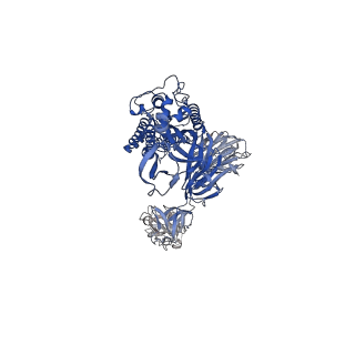 24786_7s0c_C_v1-1
Structure of the SARS-CoV-2 S 6P trimer in complex with neutralizing antibody N-612-017