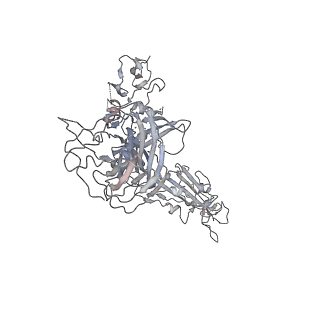 24788_7s0e_A_v1-1
Structure of the SARS-CoV-2 S1 subunit in complex with antibody N-612-004