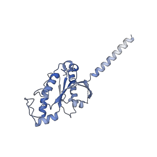 24789_7s0f_A_v1-1
Isoproterenol bound beta1 adrenergic receptor in complex with heterotrimeric Gi protein