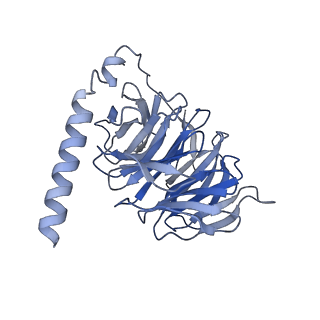 24789_7s0f_B_v1-1
Isoproterenol bound beta1 adrenergic receptor in complex with heterotrimeric Gi protein