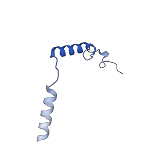 24789_7s0f_G_v1-1
Isoproterenol bound beta1 adrenergic receptor in complex with heterotrimeric Gi protein