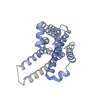 24789_7s0f_R_v1-1
Isoproterenol bound beta1 adrenergic receptor in complex with heterotrimeric Gi protein