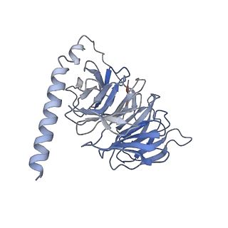 24790_7s0g_B_v1-1
Isoproterenol bound beta1 adrenergic receptor in complex with heterotrimeric Gi/s chimera protein