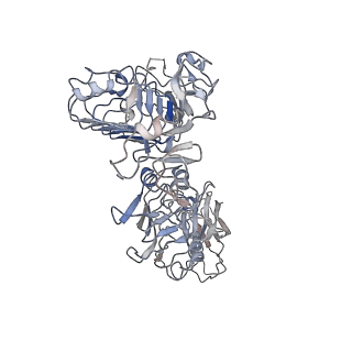 24791_7s0q_A_v1-1
Head region of a complex of IGF-I with the ectodomain of a hybrid insulin receptor / type 1 insulin-like growth factor receptor