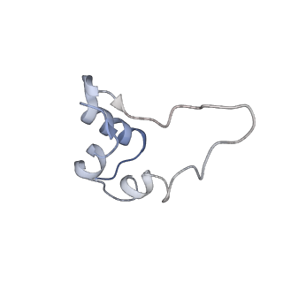 24791_7s0q_D_v1-1
Head region of a complex of IGF-I with the ectodomain of a hybrid insulin receptor / type 1 insulin-like growth factor receptor