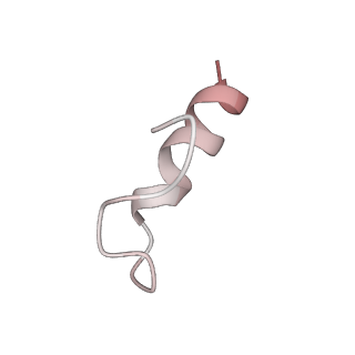 24792_7s0s_3_v1-2
M. tuberculosis ribosomal RNA methyltransferase TlyA bound to M. smegmatis 50S ribosomal subunit