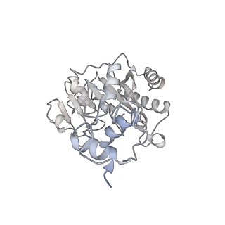 24792_7s0s_B_v1-2
M. tuberculosis ribosomal RNA methyltransferase TlyA bound to M. smegmatis 50S ribosomal subunit