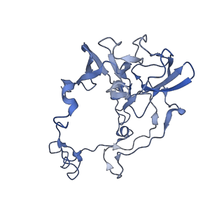 24792_7s0s_D_v1-2
M. tuberculosis ribosomal RNA methyltransferase TlyA bound to M. smegmatis 50S ribosomal subunit