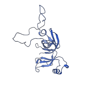 24792_7s0s_E_v1-2
M. tuberculosis ribosomal RNA methyltransferase TlyA bound to M. smegmatis 50S ribosomal subunit