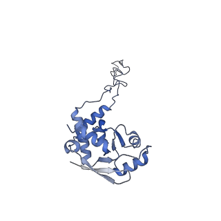 24792_7s0s_F_v1-2
M. tuberculosis ribosomal RNA methyltransferase TlyA bound to M. smegmatis 50S ribosomal subunit