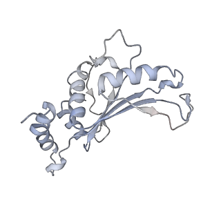 24792_7s0s_G_v1-2
M. tuberculosis ribosomal RNA methyltransferase TlyA bound to M. smegmatis 50S ribosomal subunit