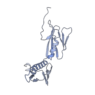 24792_7s0s_H_v1-2
M. tuberculosis ribosomal RNA methyltransferase TlyA bound to M. smegmatis 50S ribosomal subunit