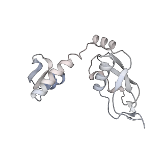 24792_7s0s_I_v1-2
M. tuberculosis ribosomal RNA methyltransferase TlyA bound to M. smegmatis 50S ribosomal subunit