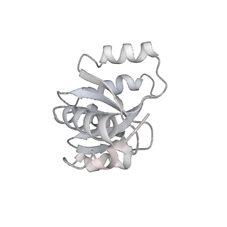 24792_7s0s_J_v1-2
M. tuberculosis ribosomal RNA methyltransferase TlyA bound to M. smegmatis 50S ribosomal subunit