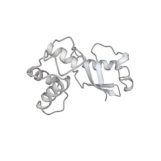 24792_7s0s_K_v1-2
M. tuberculosis ribosomal RNA methyltransferase TlyA bound to M. smegmatis 50S ribosomal subunit