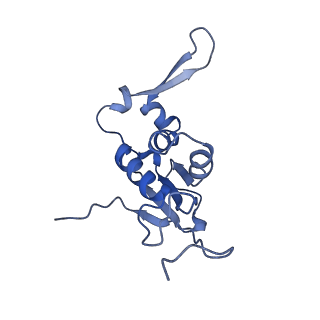 24792_7s0s_L_v1-2
M. tuberculosis ribosomal RNA methyltransferase TlyA bound to M. smegmatis 50S ribosomal subunit