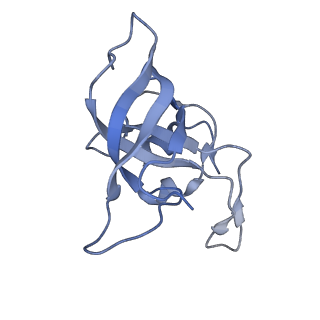 24792_7s0s_M_v1-2
M. tuberculosis ribosomal RNA methyltransferase TlyA bound to M. smegmatis 50S ribosomal subunit