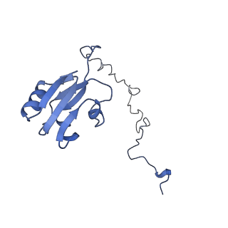 24792_7s0s_N_v1-2
M. tuberculosis ribosomal RNA methyltransferase TlyA bound to M. smegmatis 50S ribosomal subunit