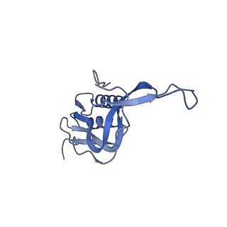 24792_7s0s_O_v1-2
M. tuberculosis ribosomal RNA methyltransferase TlyA bound to M. smegmatis 50S ribosomal subunit