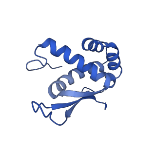 24792_7s0s_P_v1-2
M. tuberculosis ribosomal RNA methyltransferase TlyA bound to M. smegmatis 50S ribosomal subunit