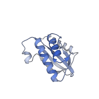 24792_7s0s_Q_v1-2
M. tuberculosis ribosomal RNA methyltransferase TlyA bound to M. smegmatis 50S ribosomal subunit