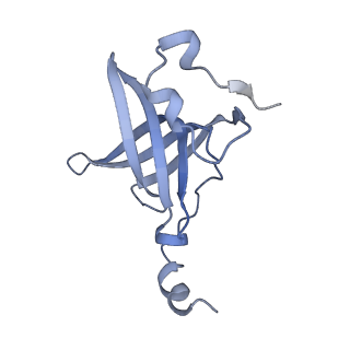 24792_7s0s_R_v1-2
M. tuberculosis ribosomal RNA methyltransferase TlyA bound to M. smegmatis 50S ribosomal subunit