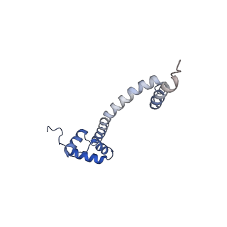 24792_7s0s_S_v1-2
M. tuberculosis ribosomal RNA methyltransferase TlyA bound to M. smegmatis 50S ribosomal subunit