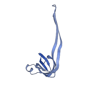 24792_7s0s_T_v1-2
M. tuberculosis ribosomal RNA methyltransferase TlyA bound to M. smegmatis 50S ribosomal subunit