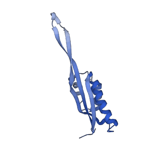 24792_7s0s_U_v1-2
M. tuberculosis ribosomal RNA methyltransferase TlyA bound to M. smegmatis 50S ribosomal subunit