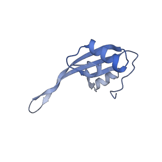 24792_7s0s_V_v1-2
M. tuberculosis ribosomal RNA methyltransferase TlyA bound to M. smegmatis 50S ribosomal subunit