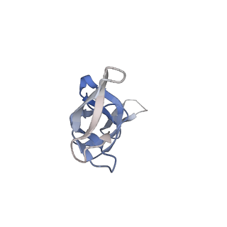 24792_7s0s_W_v1-2
M. tuberculosis ribosomal RNA methyltransferase TlyA bound to M. smegmatis 50S ribosomal subunit