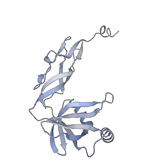 24792_7s0s_X_v1-2
M. tuberculosis ribosomal RNA methyltransferase TlyA bound to M. smegmatis 50S ribosomal subunit