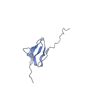 24792_7s0s_Y_v1-2
M. tuberculosis ribosomal RNA methyltransferase TlyA bound to M. smegmatis 50S ribosomal subunit