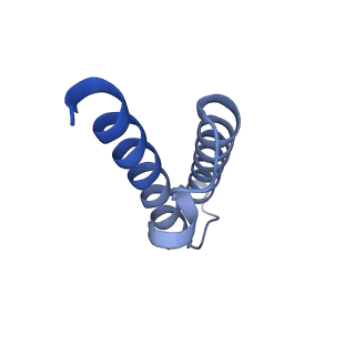 24792_7s0s_a_v1-2
M. tuberculosis ribosomal RNA methyltransferase TlyA bound to M. smegmatis 50S ribosomal subunit
