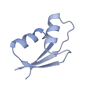 24792_7s0s_b_v1-2
M. tuberculosis ribosomal RNA methyltransferase TlyA bound to M. smegmatis 50S ribosomal subunit