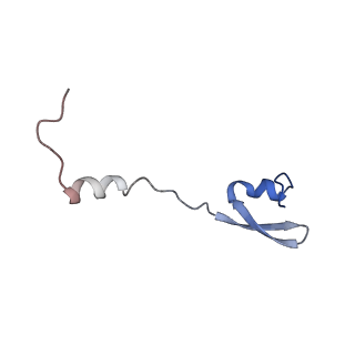 24792_7s0s_c_v1-2
M. tuberculosis ribosomal RNA methyltransferase TlyA bound to M. smegmatis 50S ribosomal subunit