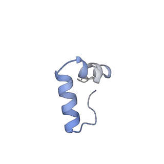 24792_7s0s_e_v1-2
M. tuberculosis ribosomal RNA methyltransferase TlyA bound to M. smegmatis 50S ribosomal subunit
